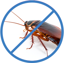 Уничтожение тараканов