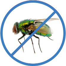 Уничтожение мух