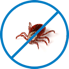 Уничтожение клещей